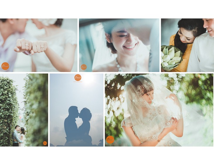 Perfect Honeymoon & Wedding Exhibition - ảnh 3